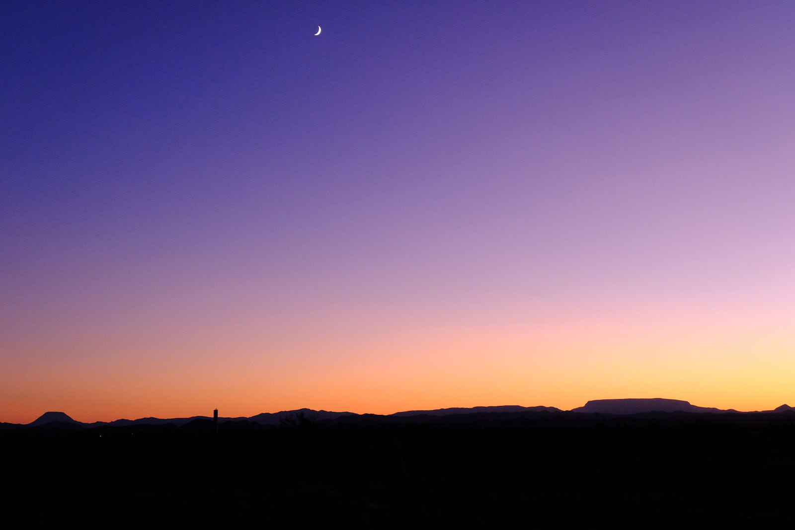 Then comes a splendid spotted