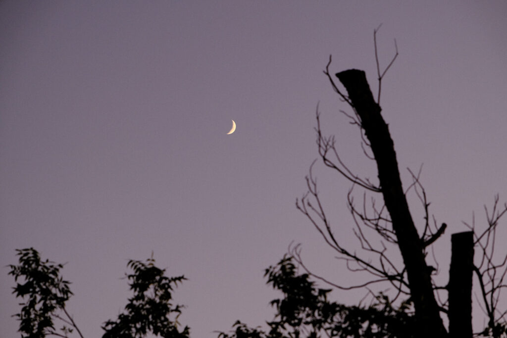 says /It has always been evening/ —James Richardson