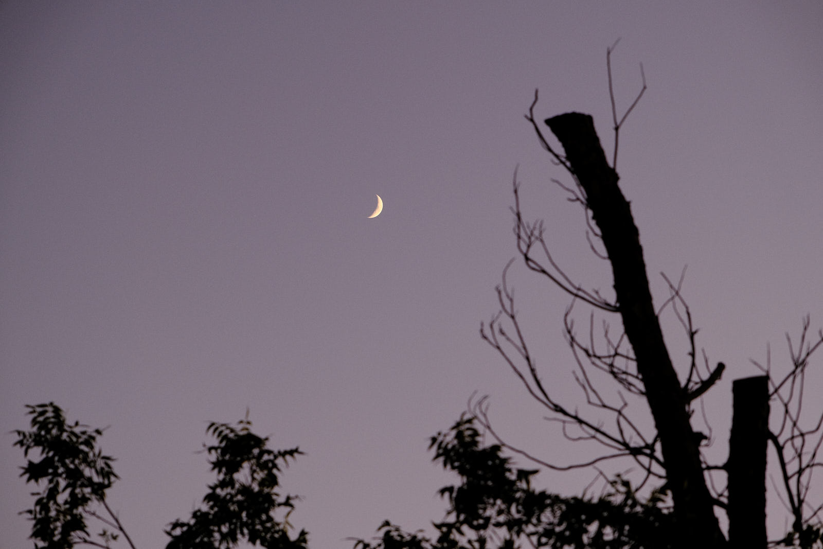 and the evening softly taking hold