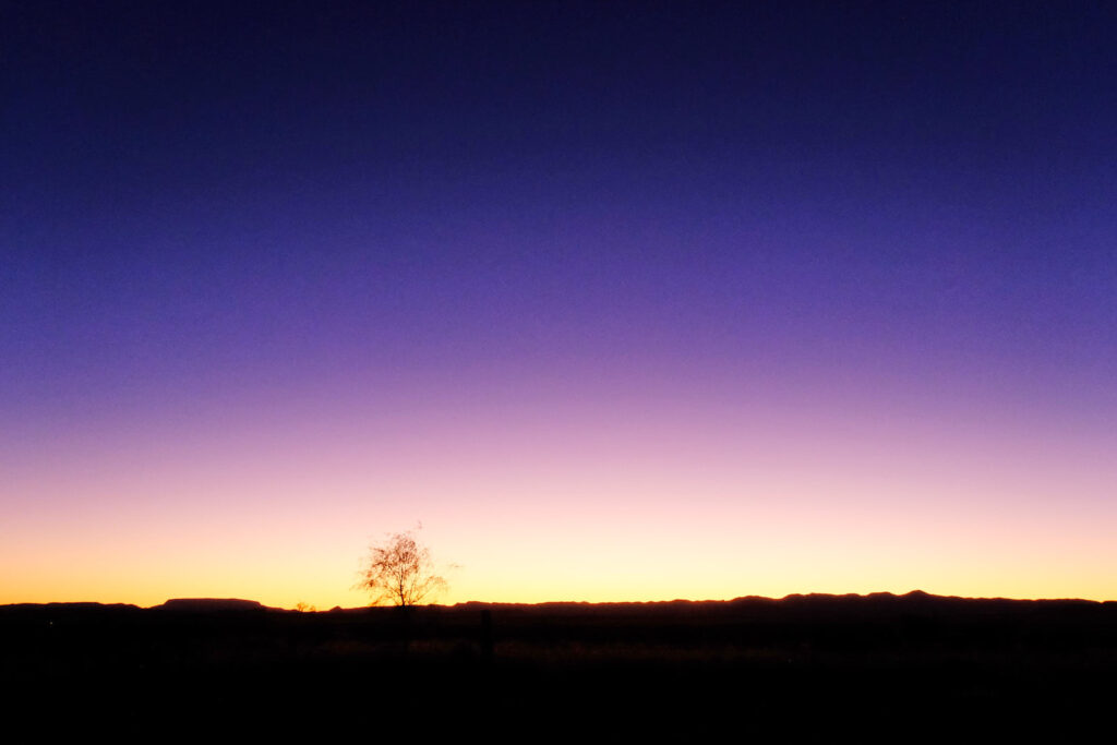 you said. —Ellen Bryant Voigt