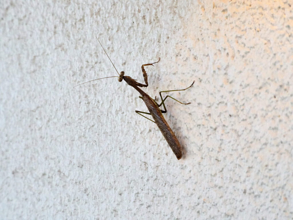 answer: there is a wheel