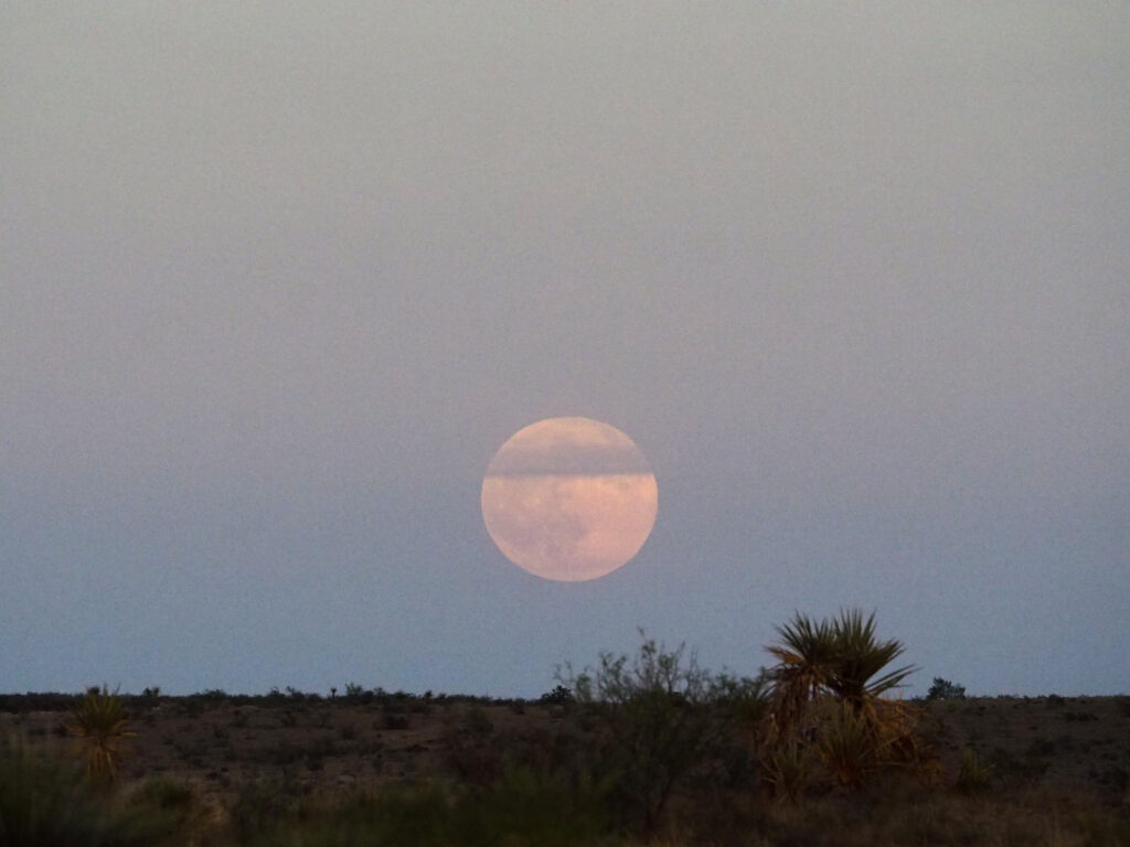 a choice, performing just beyond