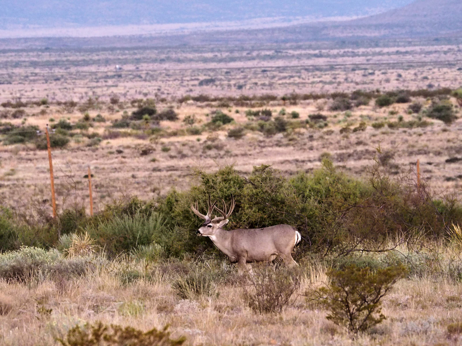 We tell ourselves a myth