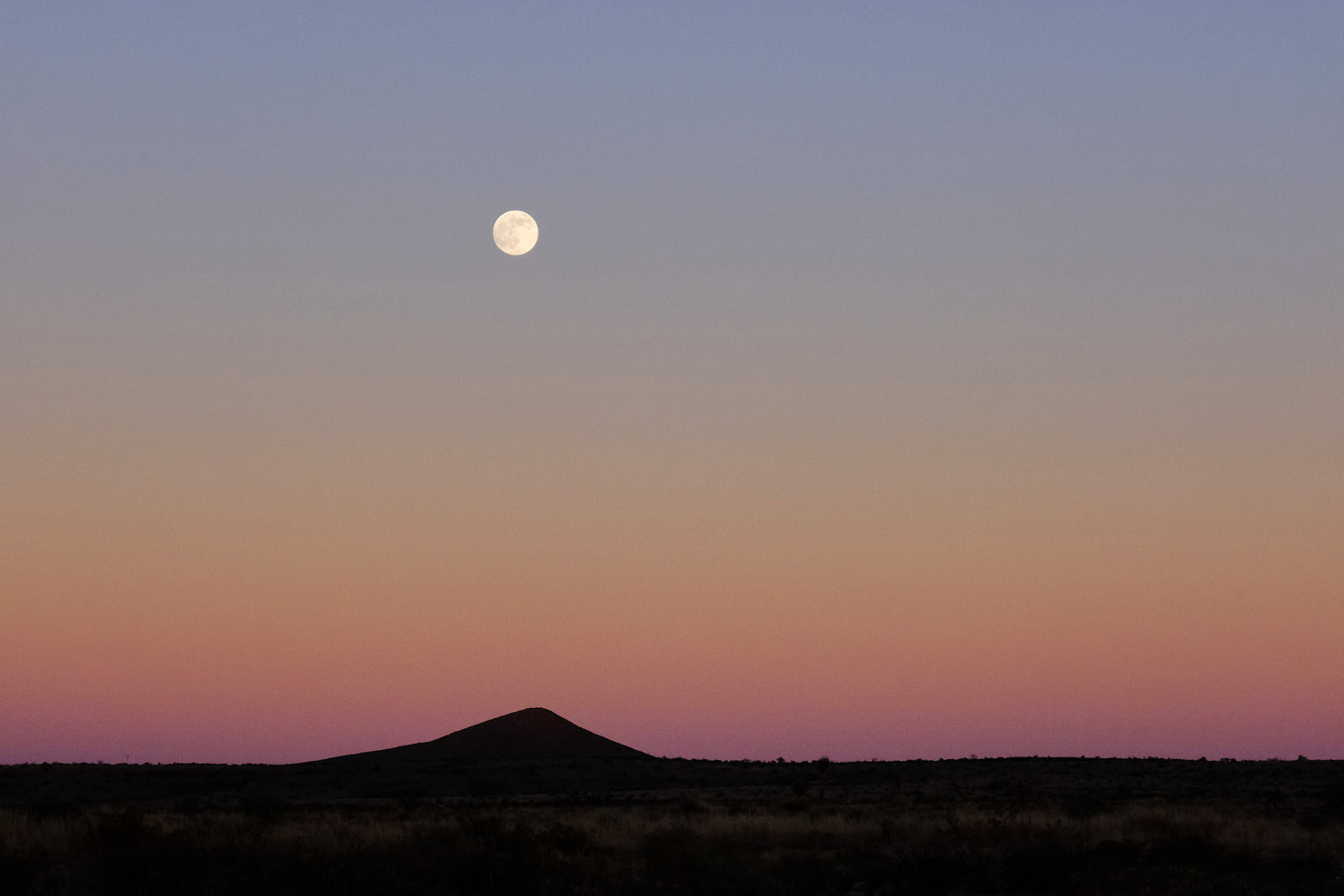 Here, says the Future, that famous comic.