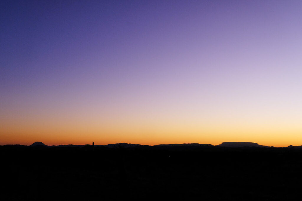 My favourite cooks prepare my meals, —Leonard Cohen