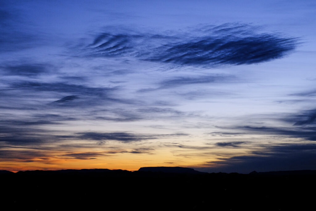 elephant. —Kay Ryan