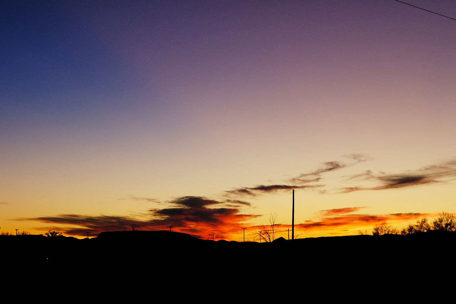 Someone has put cries of birds