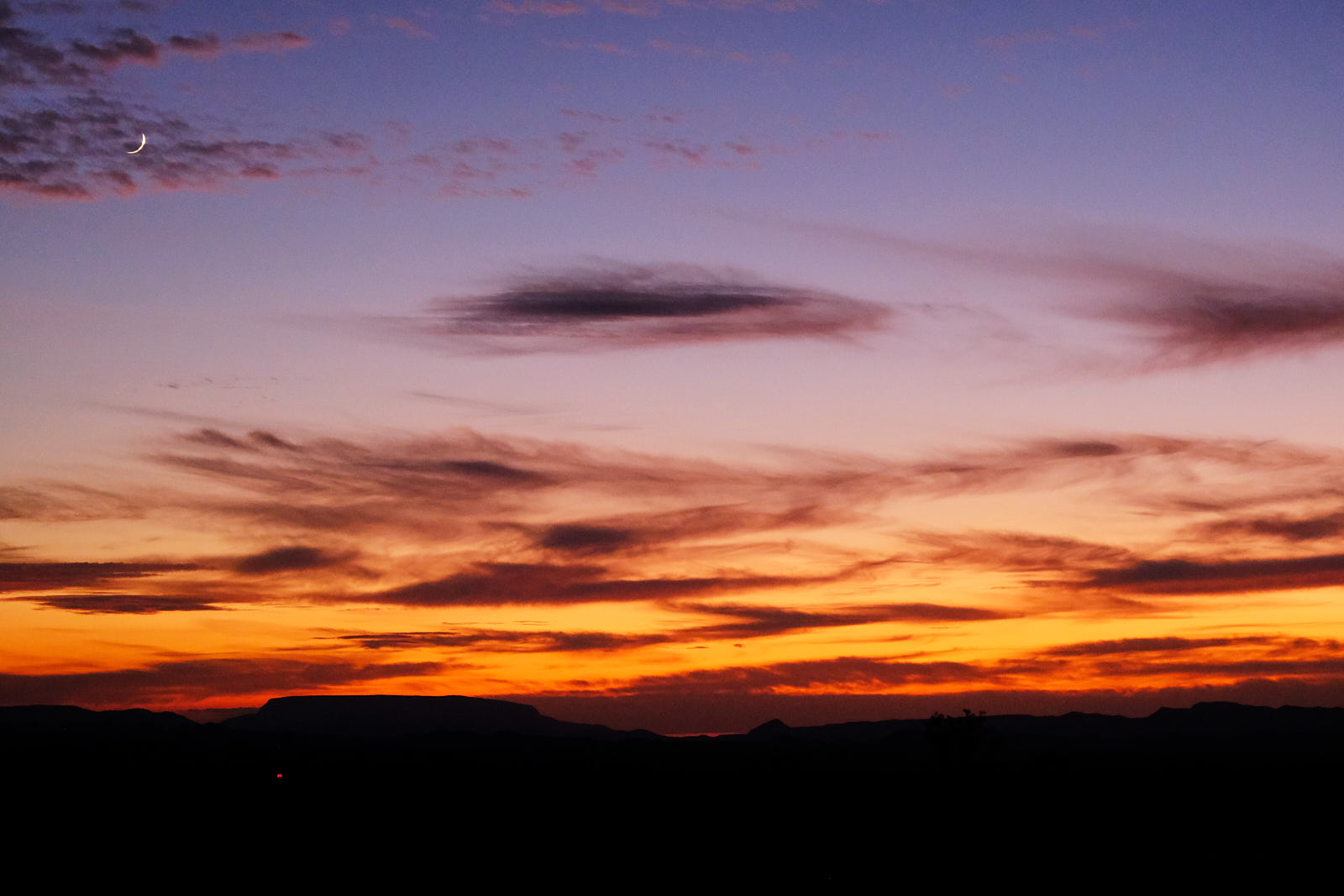 I’m roaming the meadow