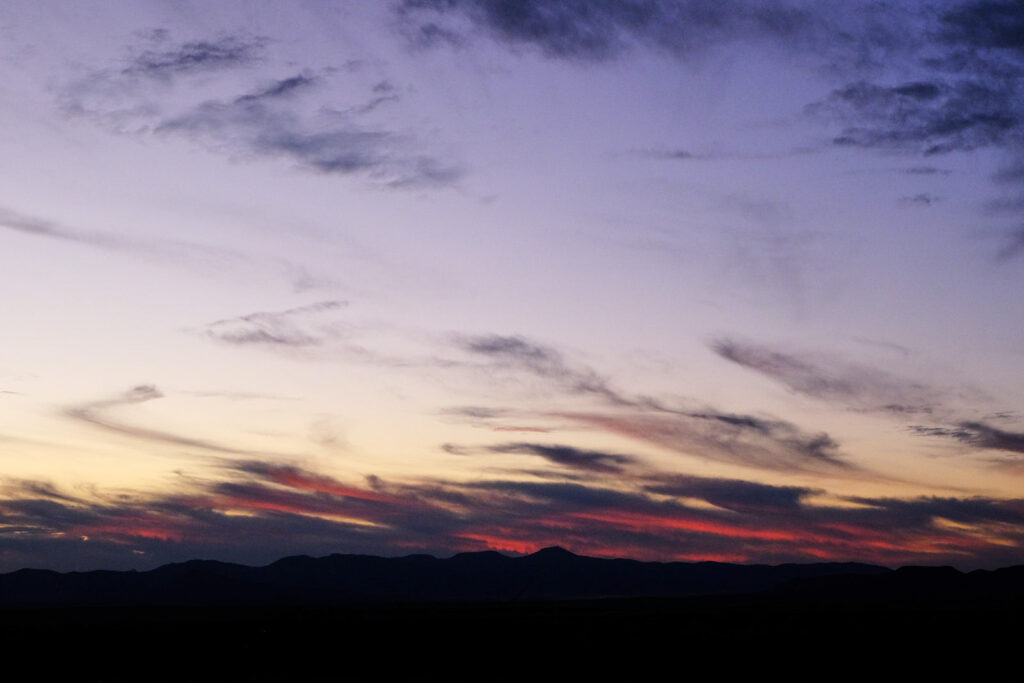 and say thank you —W. S. Merwin