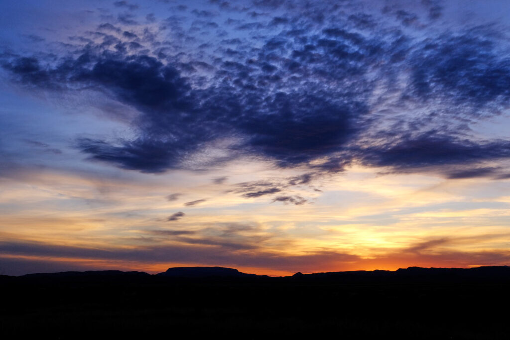 Don't bite till you know