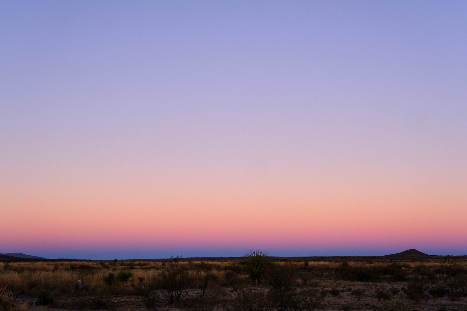 These nights are gifts,