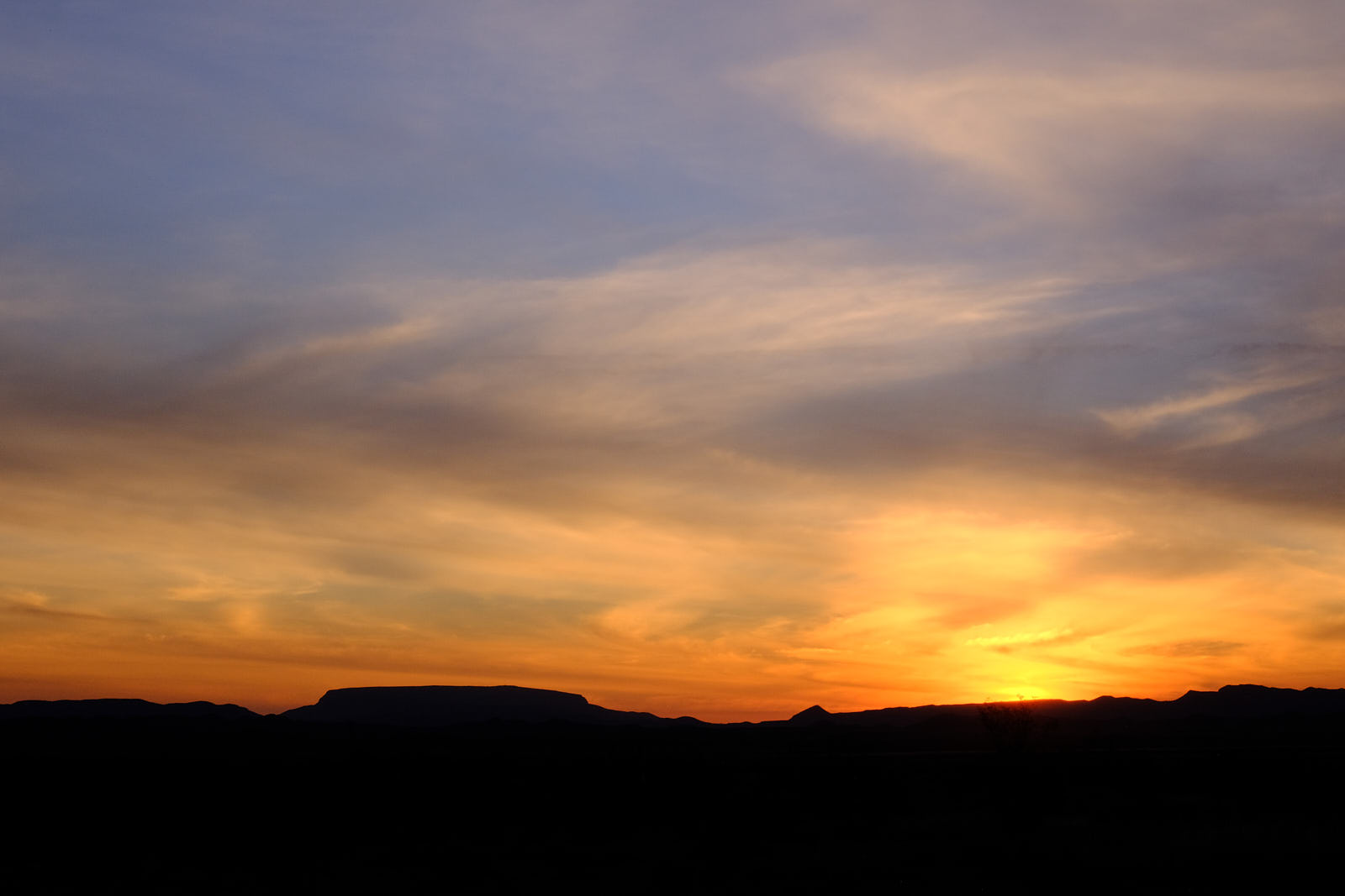 an absence shouts, celebrates, leaves a space.