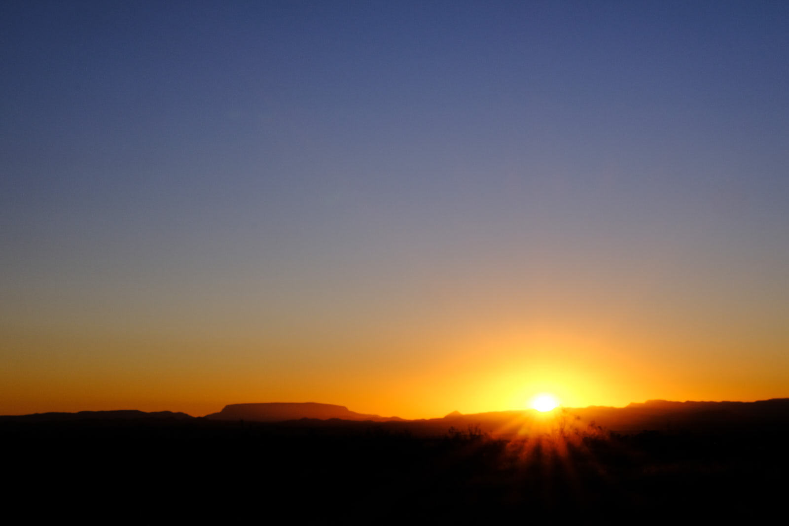 Drunk, I seek revelry.