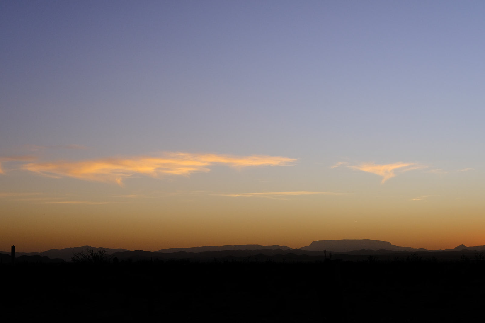 bring yr self home to yrself, enter the garden