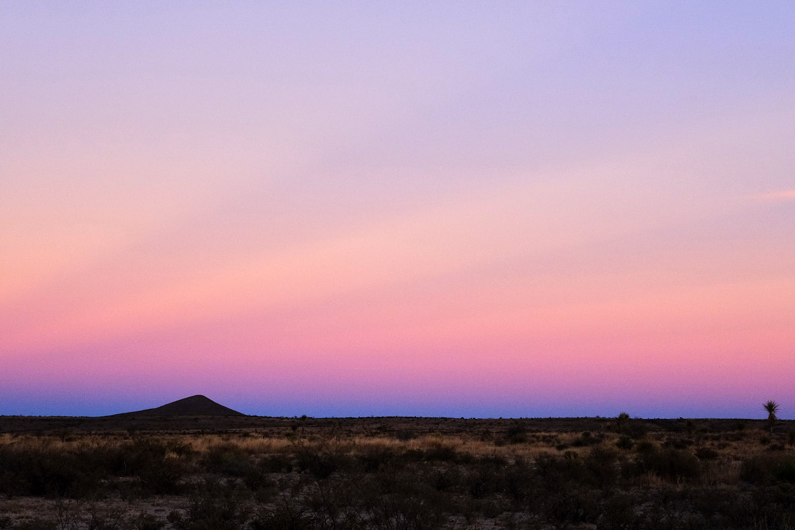 He could have sworn then he did not look back,