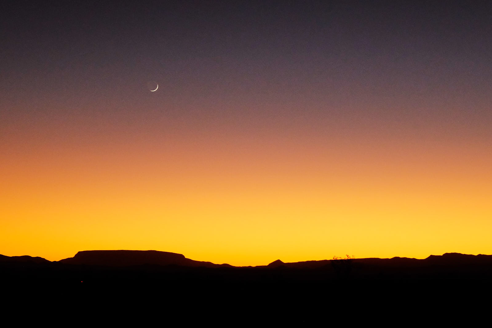 I’ve never learned from experience.