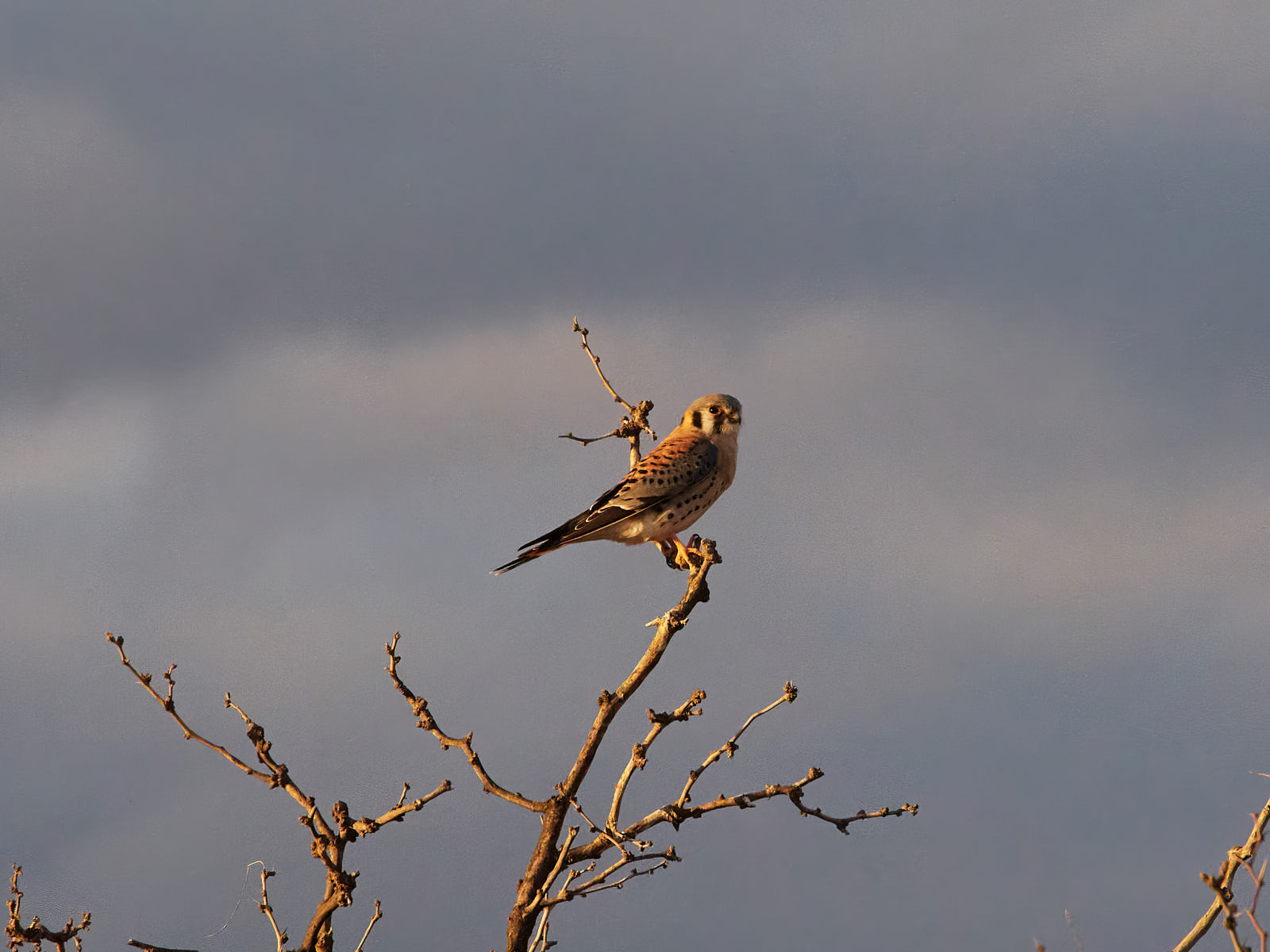 Everything passes away.