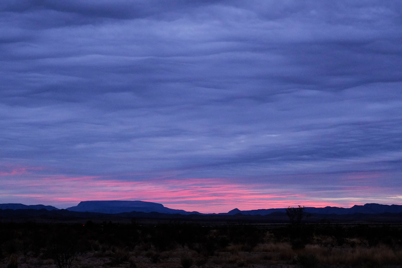 We sell the world to buy fire,