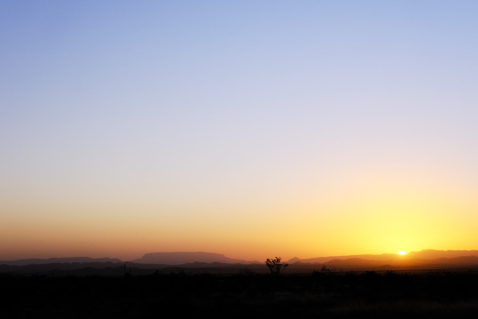 We’re walking in our sleep