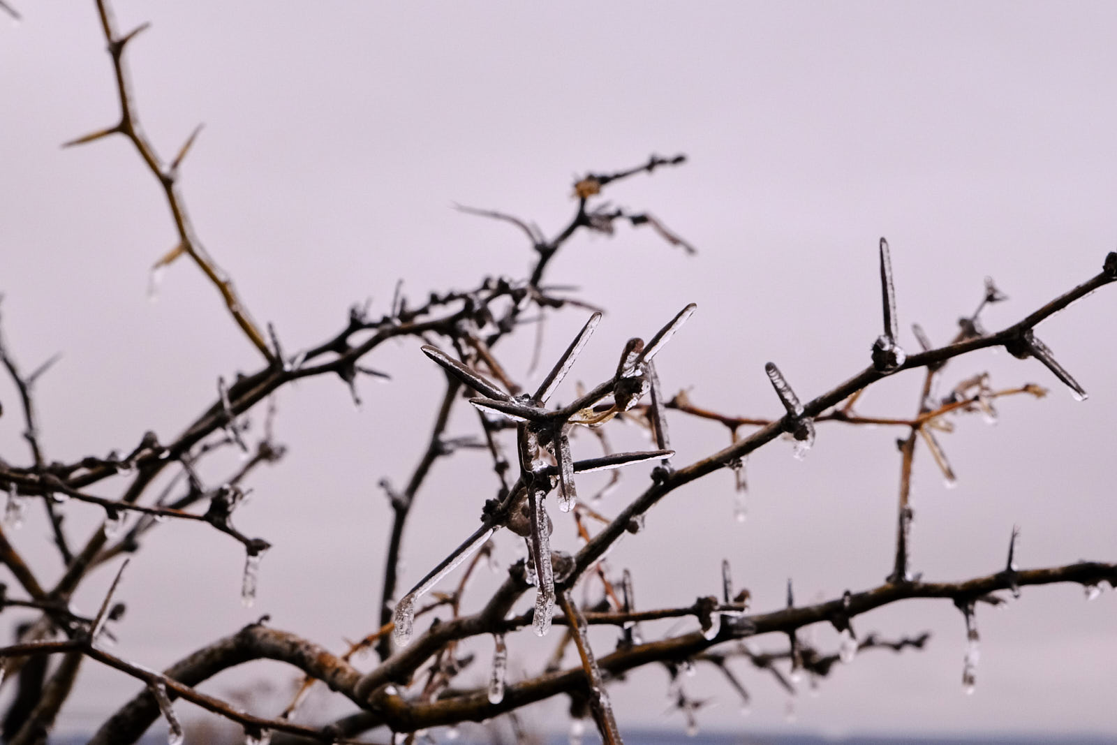 We were sad on the ground