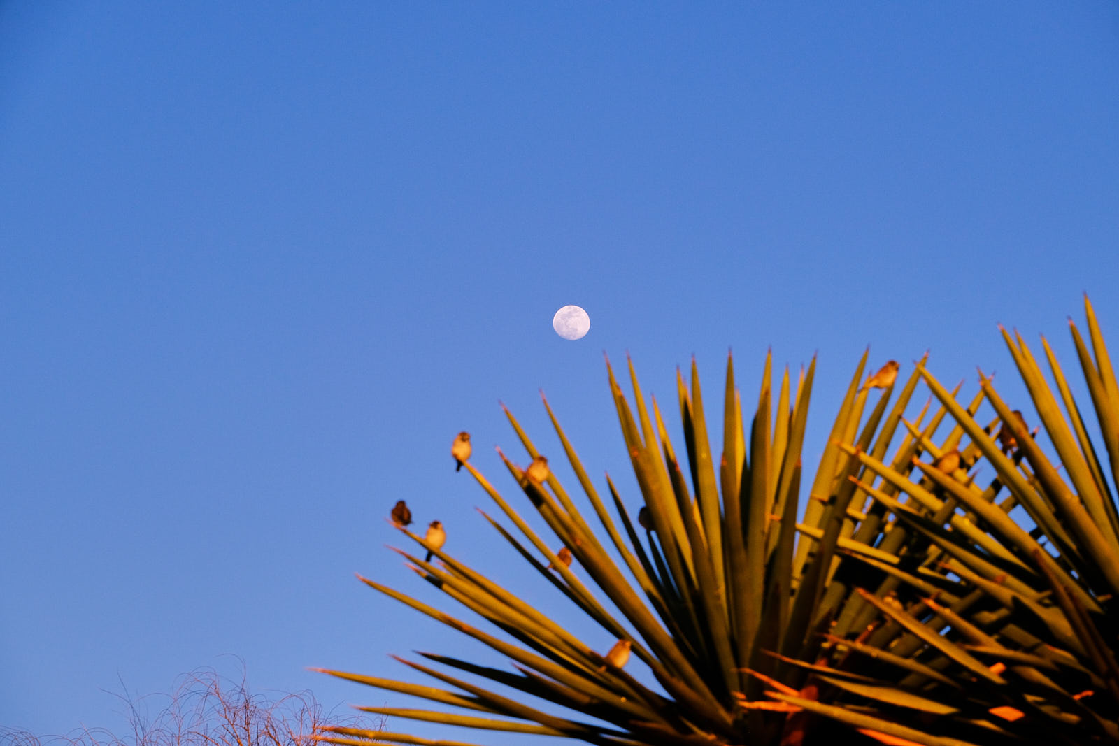 let us move the mountain