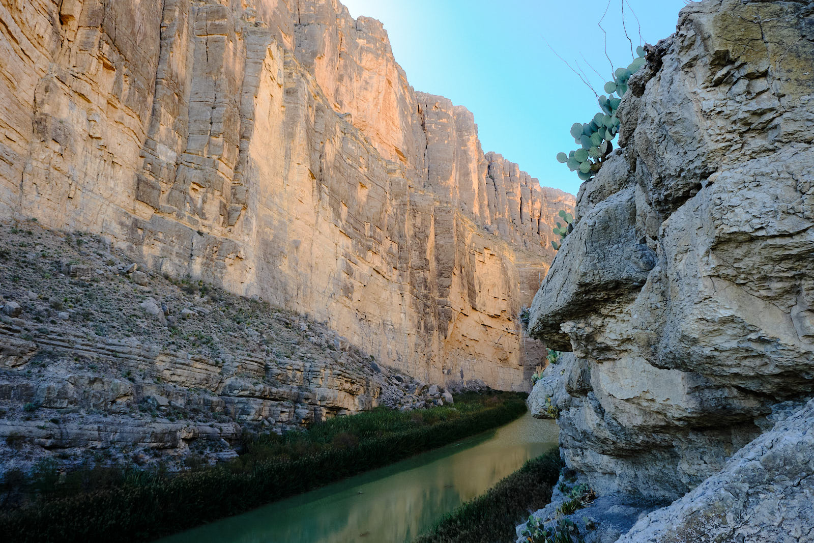 Listen: I have wasted