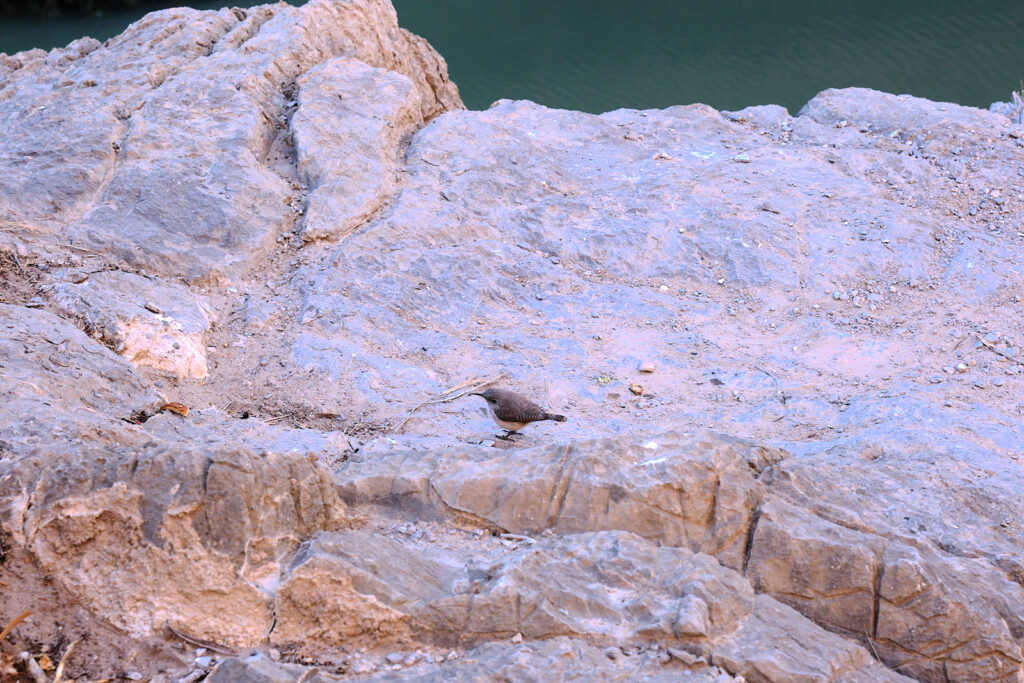 on dust, —Joseph Fasano