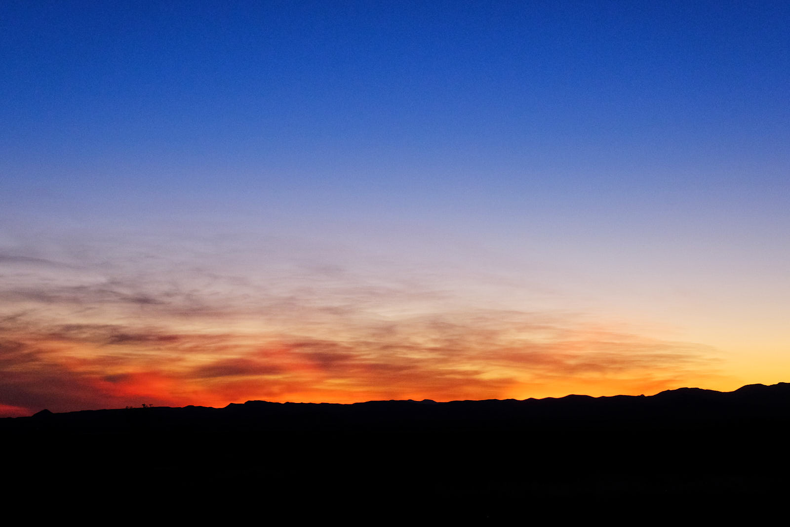 I lost time and lovers, years,