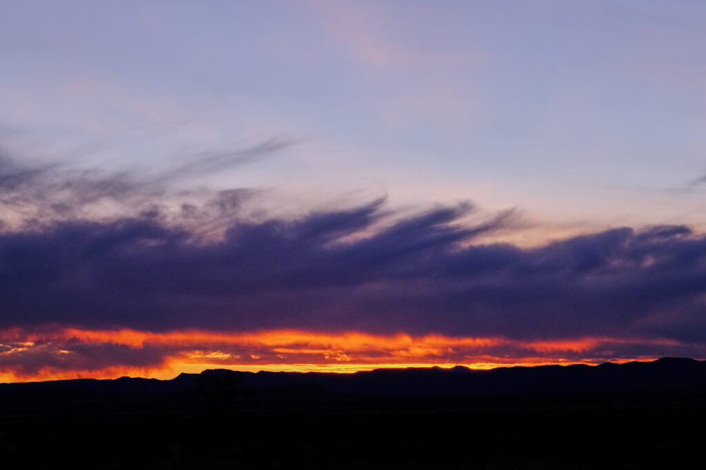 carried  the anthem under your breath, waiting until the airport toilet