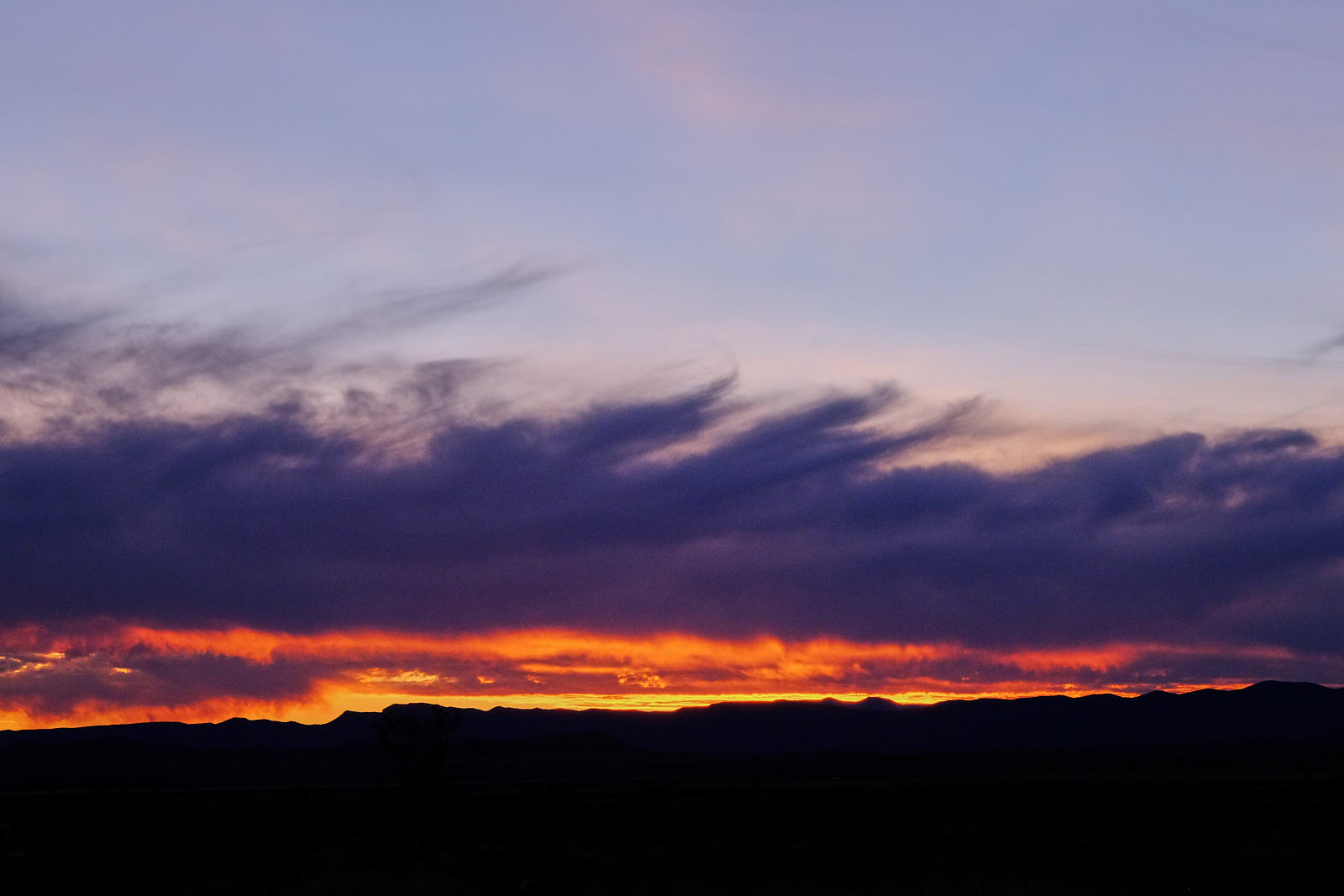 No one would leave home unless home chased you. It’s not