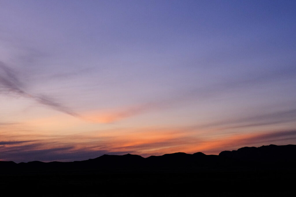 to  tear up the passport and swallow, each mournful mouthful making