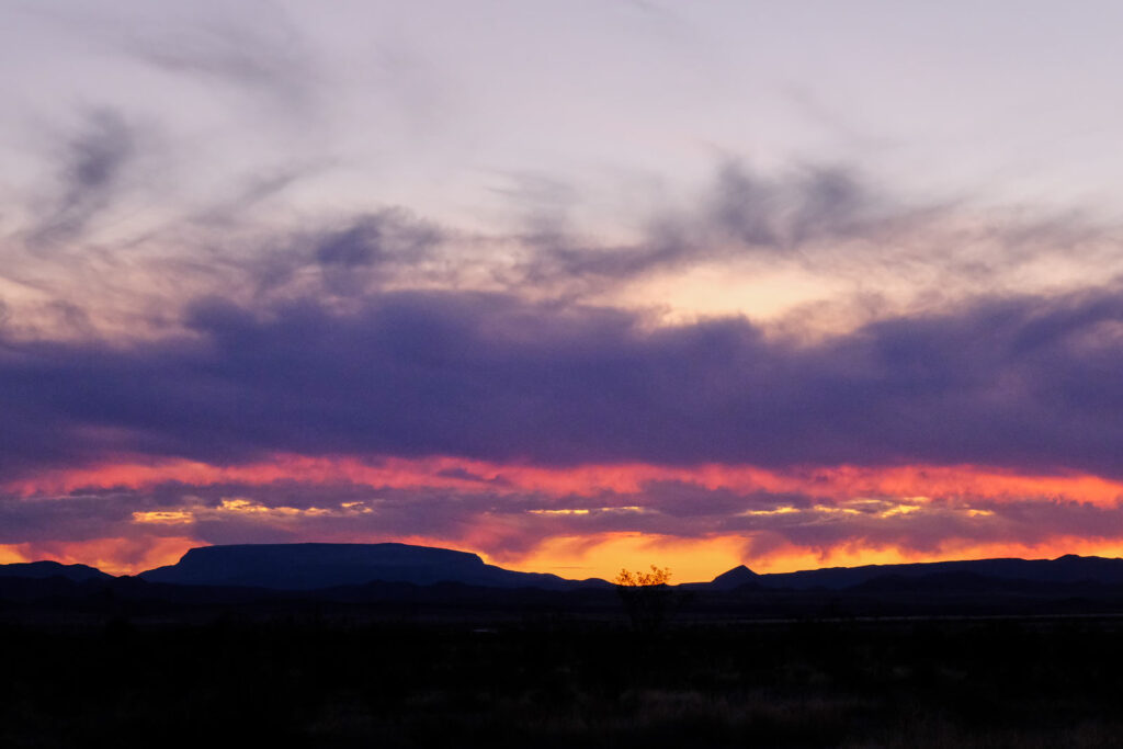 it clear you would not be going back. —Warsan Shire