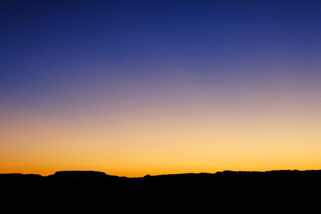 in his evil forest. —Richard Brautigan