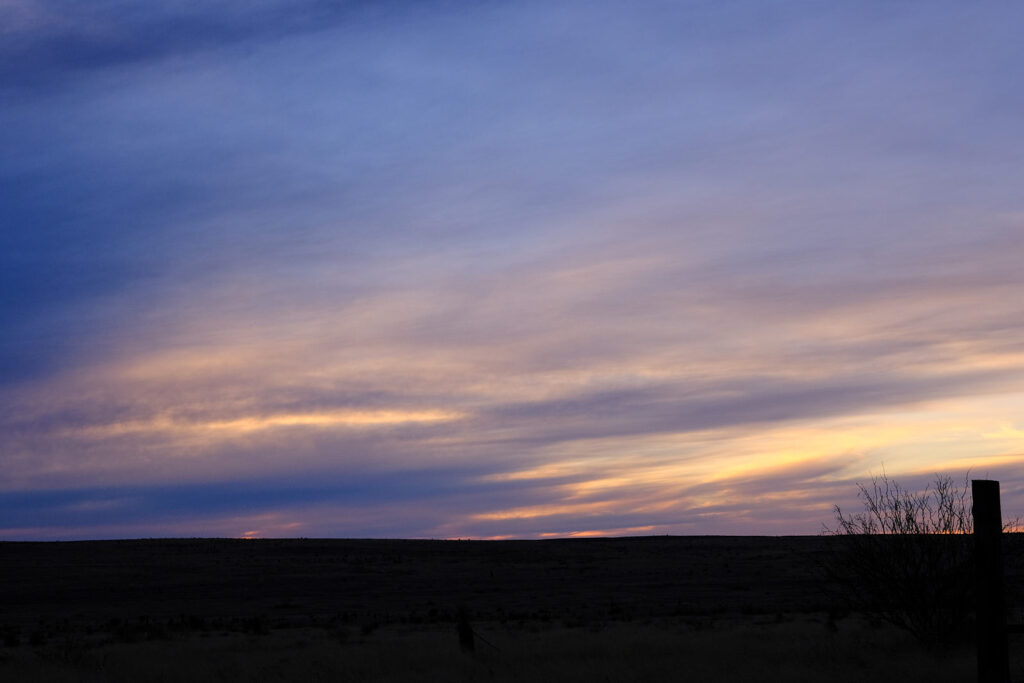 haphazard, inhumanly lost: —Lisel Mueller