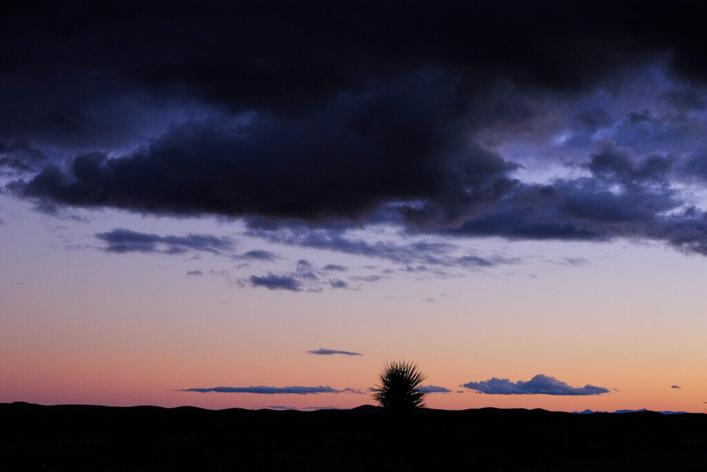 contrived to make that mark of its own name,