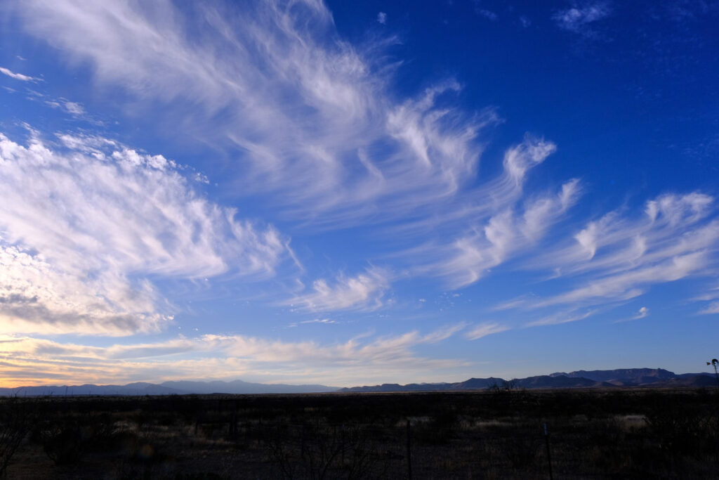 it is frantic with its hands