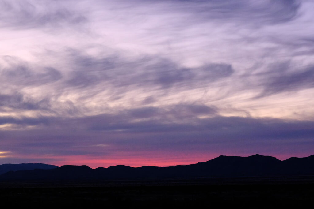 That’s why we became grass. —William E. Stafford