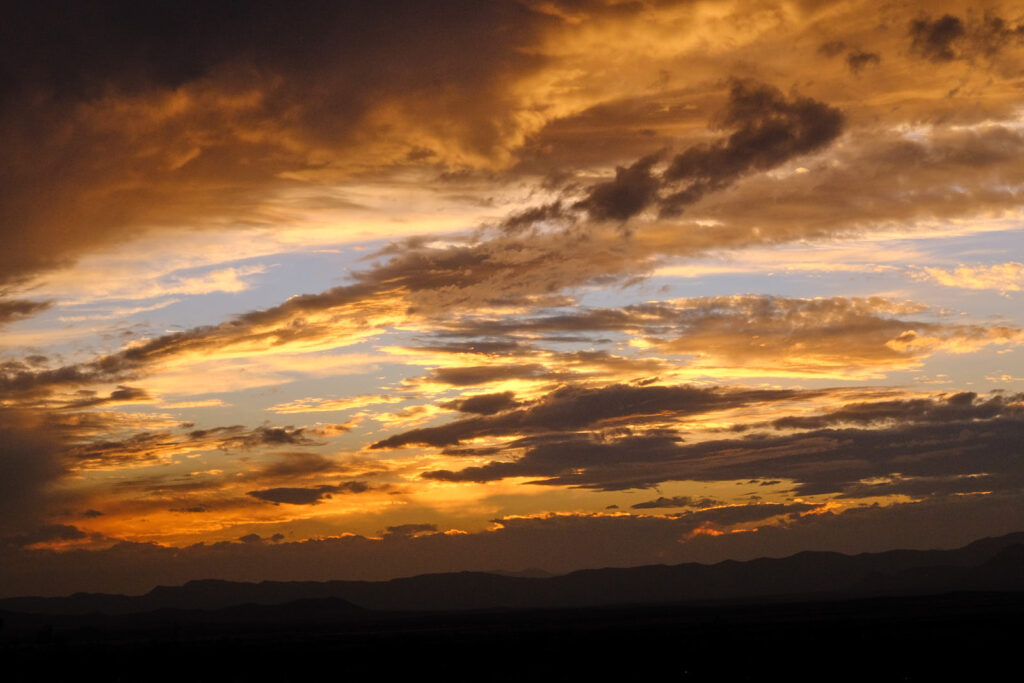 small thoughtful steps. —Mary Oliver