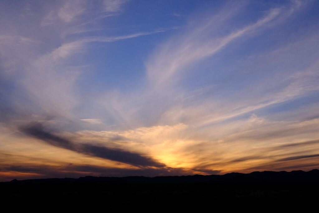 that bites you? The world I’m trying to love