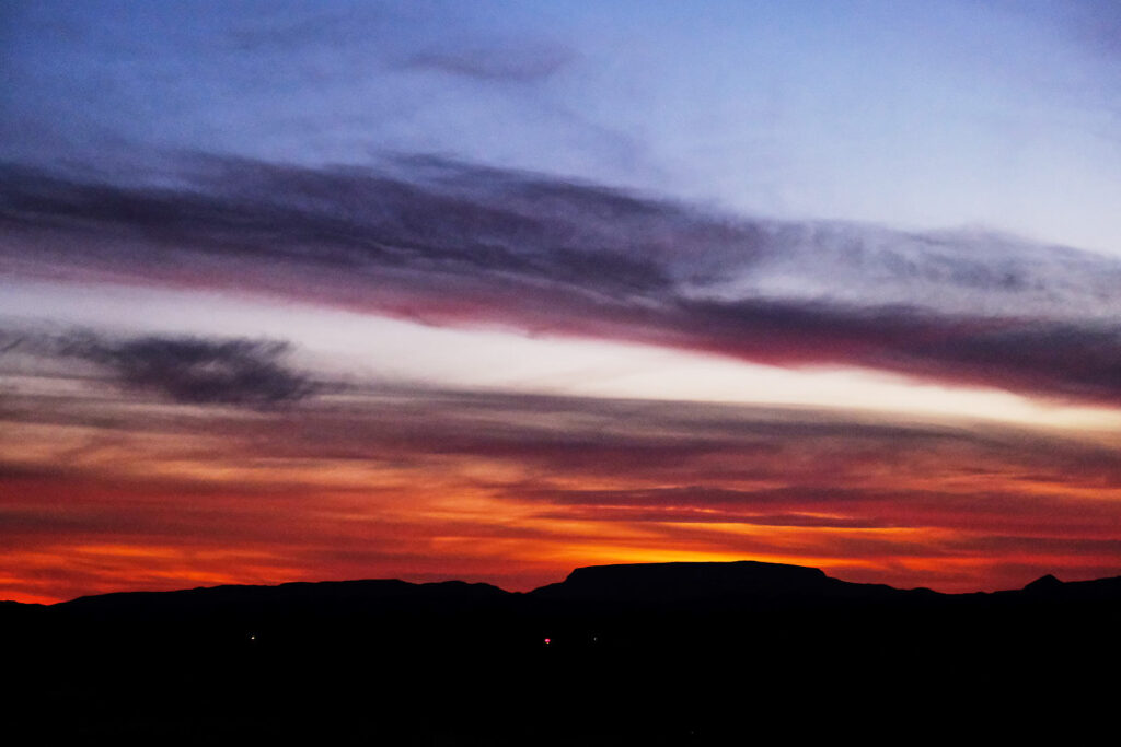 is all teeth and need, all gray mange, —Maggie Smith