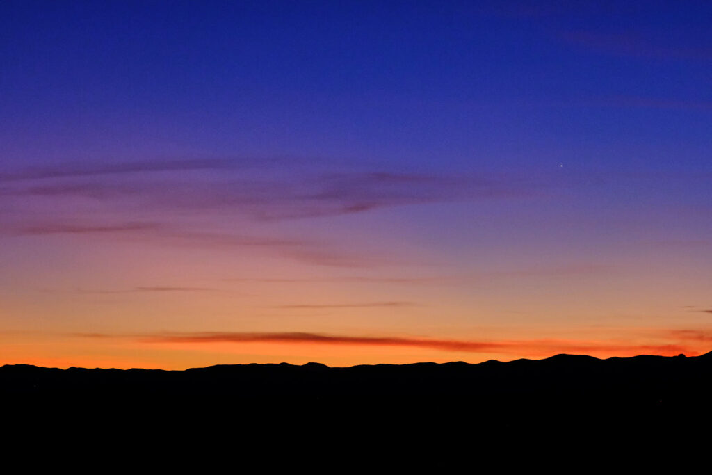 Once, I grew moody and distant. —Jane Hirshfield