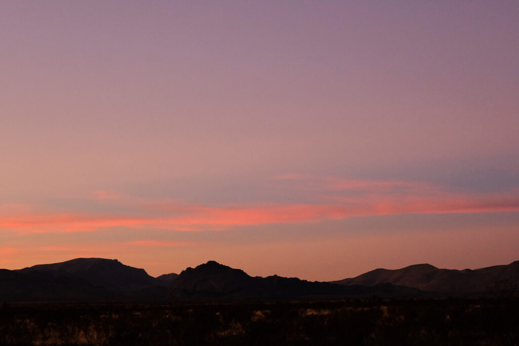 in the woods among the silent