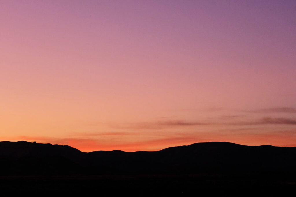 running animals, —David Ignatow