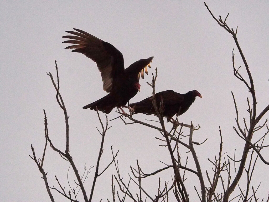 without a ripple. You see it