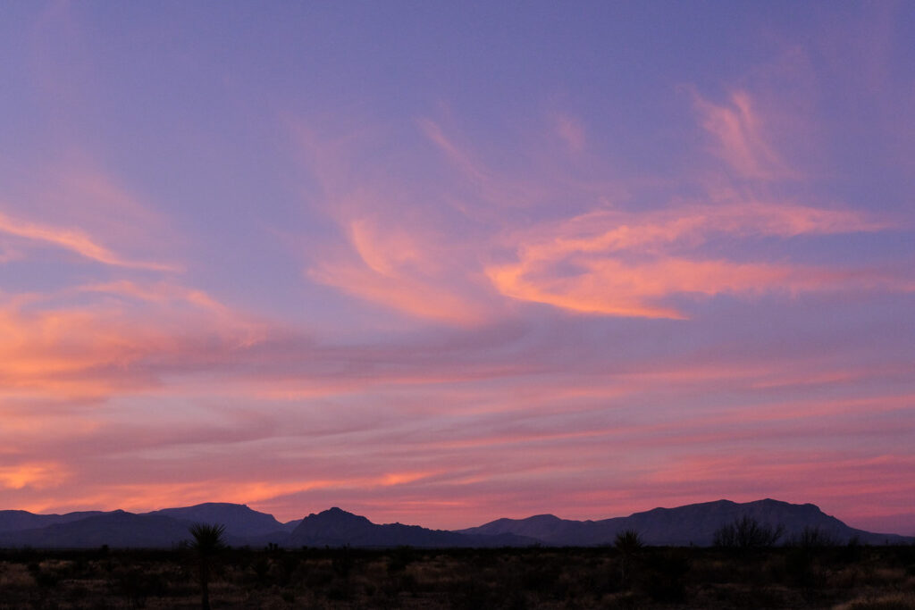 company all the time,