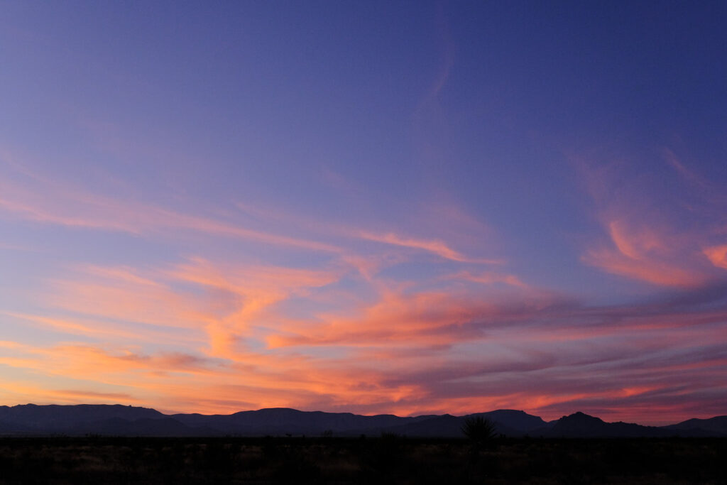 some part of hope, a continent. —Mirkka Rekola, translated by Anselm Hollo