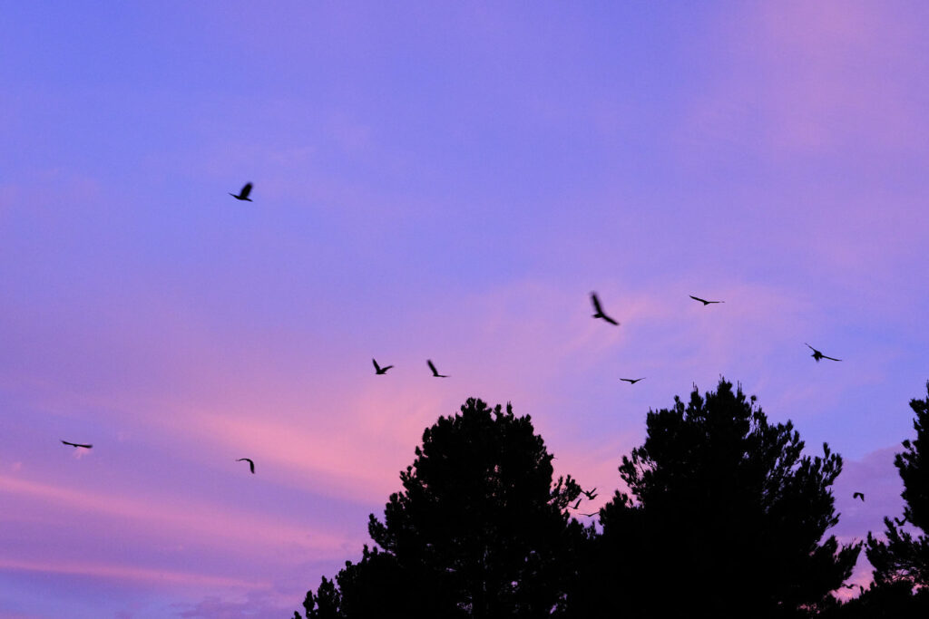 That form unties. Or reties.