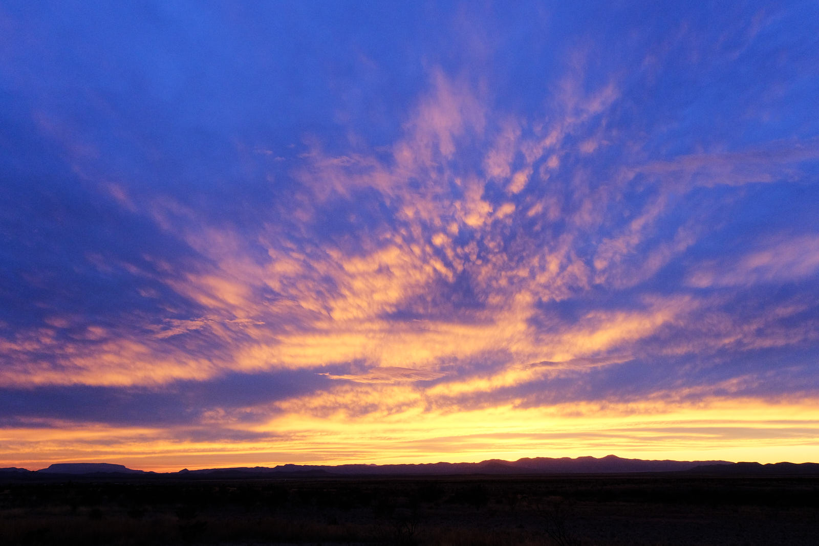 The wicked also dream