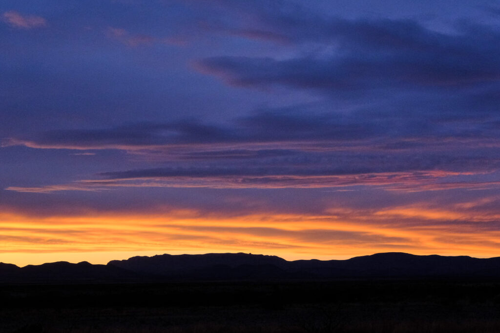 of starlight have shot through this earth’s evening; —Medha Singh