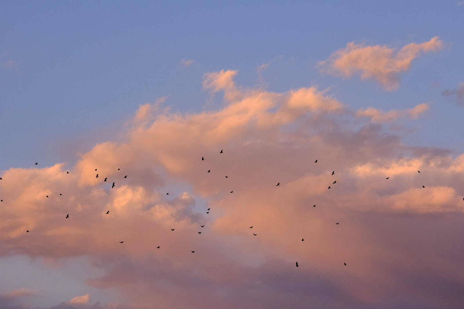 There are no borders, only wind.